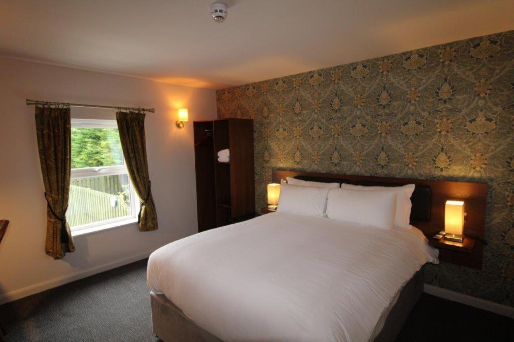 Rooms @ The Dolau Inn New Quay  Dış mekan fotoğraf